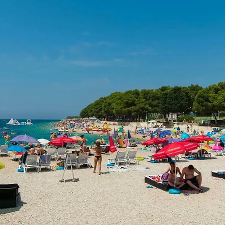 Vesna Guest house 3*